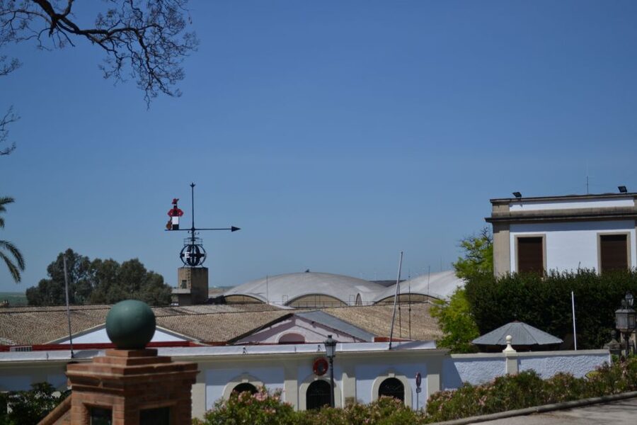 Jerez de la Frontera: 1.5-Hour Walking Tour with a Guide - The cathedral from several angles