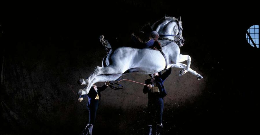 Jerez de la Frontera: Andalusian Horse Dance and Museums - Eleven Rooms in the Art Equestrian Museum