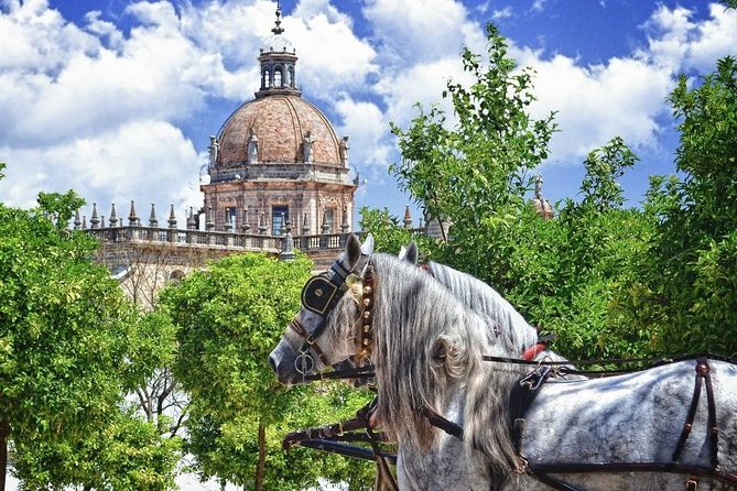 Jerez de la Frontera History and Art Walking Tour - Key things to know before you book