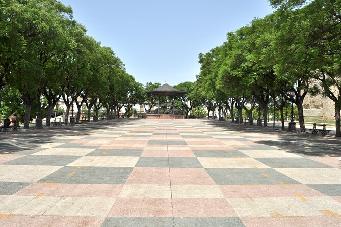 Jerez de la Frontera History and Art Walking Tour - Plaza del Arroyo and the Bertemati Palace area