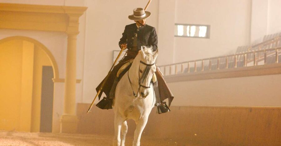 Jerez de la Frontera: How the Andalusian Horses Dance - Key points before you book