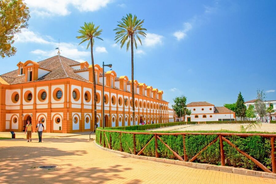 Jerez de la Frontera: How the Andalusian Horses Dance - Work in hand shows obedience without a rider in the saddle