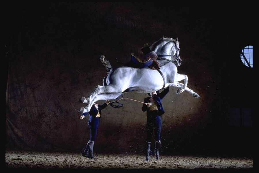 Jerez de la Frontera: How the Andalusian Horses Dance - Carriage driving adds speed, wheels, and old-world style