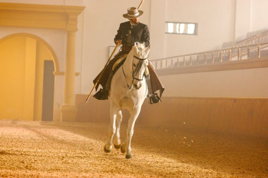 Jerez de la Frontera: How the Andalusian Horses Dance - Timing, tickets, and useful practical details