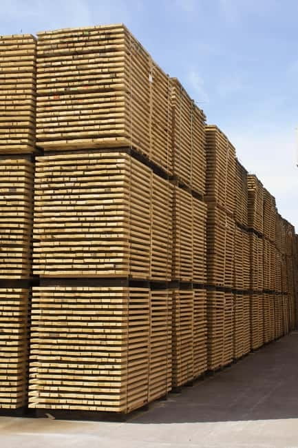 JEREZ DE LA FRONTERA: PREMIUM GUIDED TOUR TO THE COOPERAGE - Meeting the Cooperage in Front of the Sugar Mill