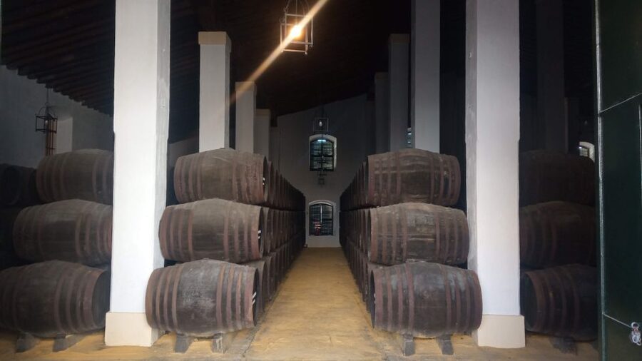 Jerez de la Frontera: Sherry Winery Tour with Tasting - Meeting the winery at Pl. Silos, 3