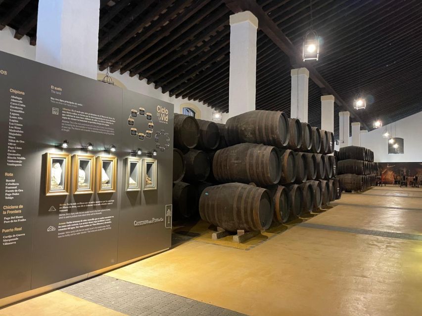 Jerez de la Frontera: Sherry Winery Tour with Tasting - Four wines make the lesson practical