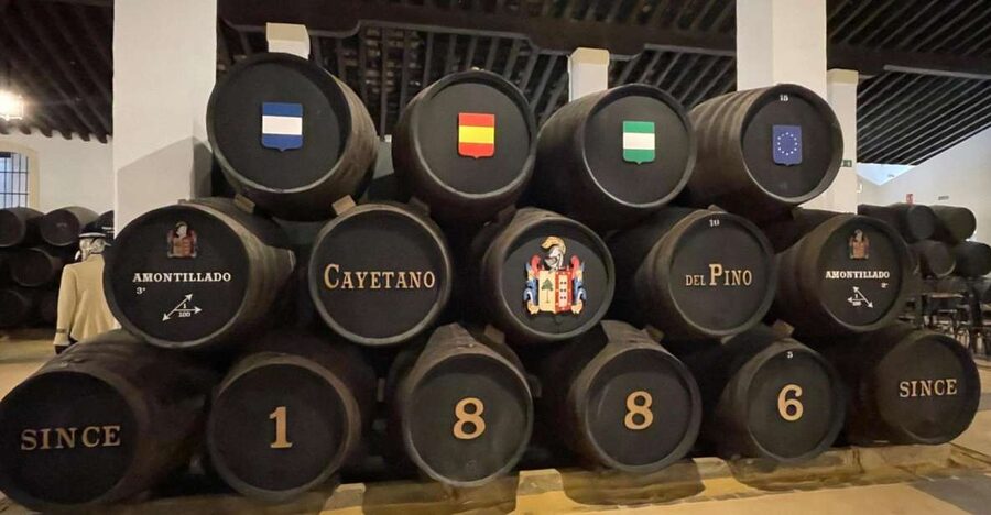 Jerez de la Frontera: Sherry Winery Tour with Tasting - The short film gives Jerez a useful frame