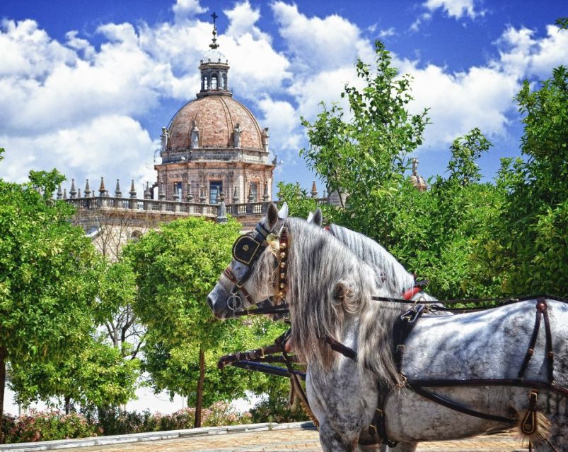 Jerez: Historic Center Guided Tour - Starting at Plaza del Arenal