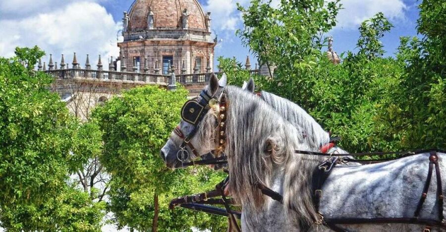 Jerez: Historic Center Guided Tour - The Alcázar wall and Jerez’s Muslim quarter
