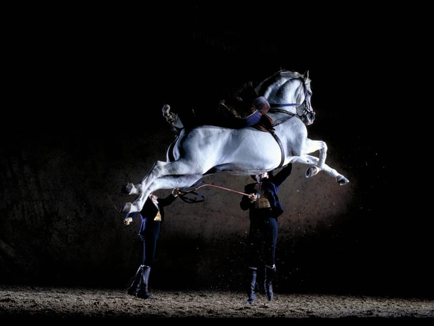 Jerez: Historic center of Jerez and horse show - Meeting in Plaza del Arenal