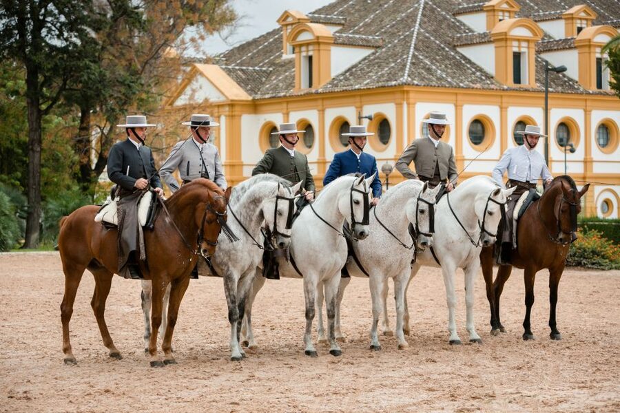 Jerez: Royal Andalusian School of Equestrian Art Admission - Key points before you book