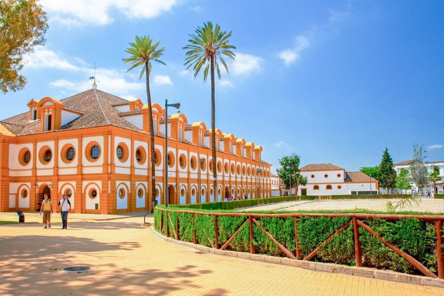 Jerez: Royal Andalusian School of Equestrian Art Admission - Get close to the horses in the octagonal stables