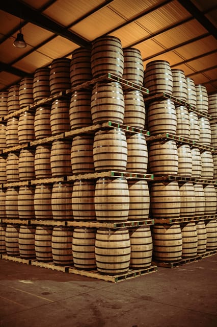 Jerez: Tour Bodegas Páez Morilla ESPAÑOL/DEUTSCH - Who will get the most from this visit
