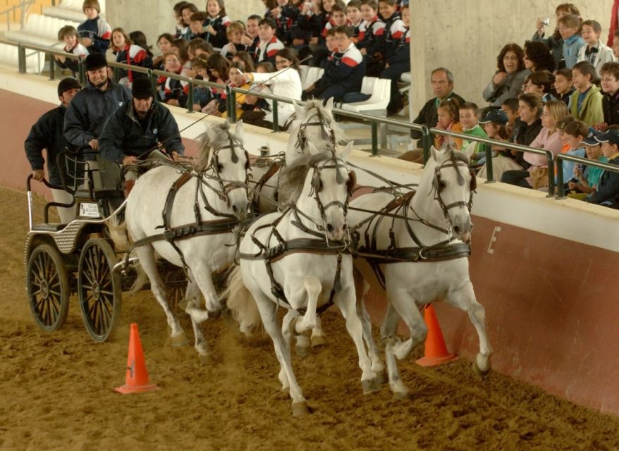 Jerez: Yeguada de la Cartuja Carthusian Horses Tour - Accessibility and practical comfort