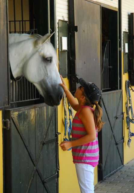 Jerez: Yeguada de la Cartuja Carthusian Horses Tour - How much time should you allow?