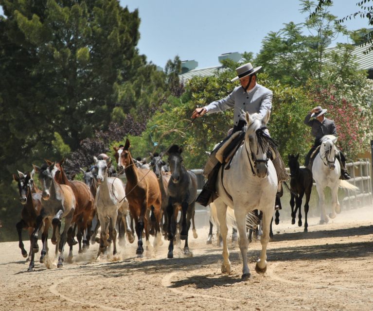Jerez: Yeguada de la Cartuja Carthusian Horses Tour - Guides and language choices