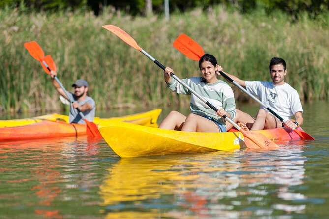 Kayak Rental - The two-hour paddle