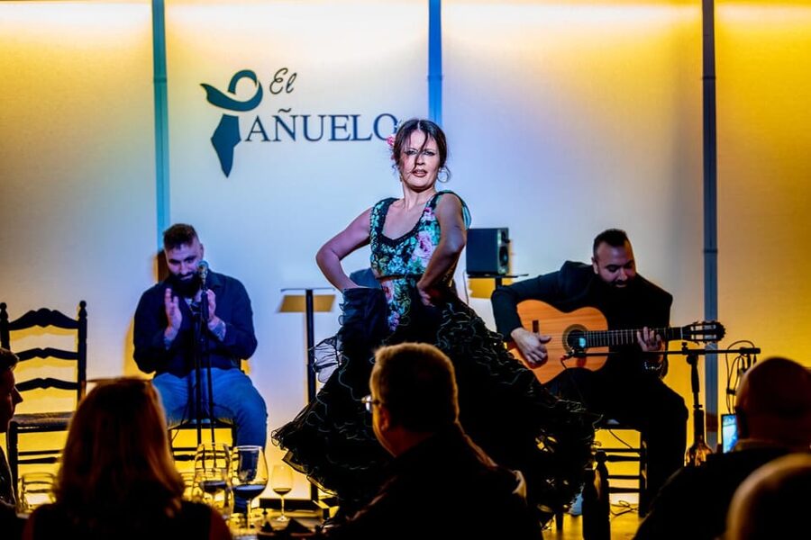 Live flamenco + tasting - Why this Córdoba flamenco show earns attention