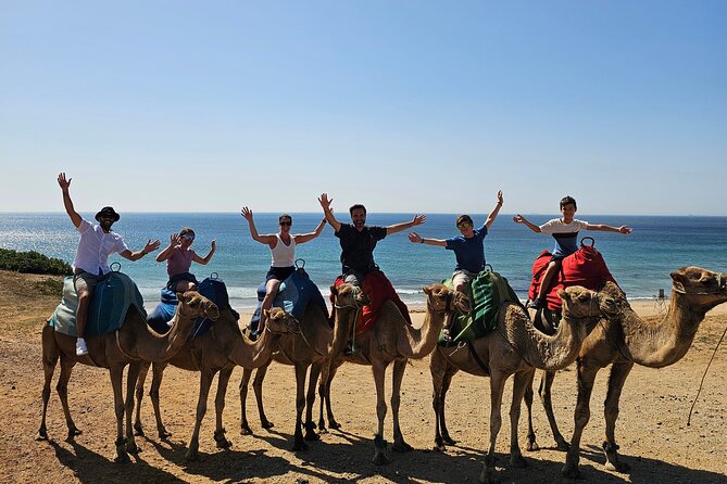 Morocco Express: Private Tour Tangier from Seville AllInclusive - Key Points Before You Book