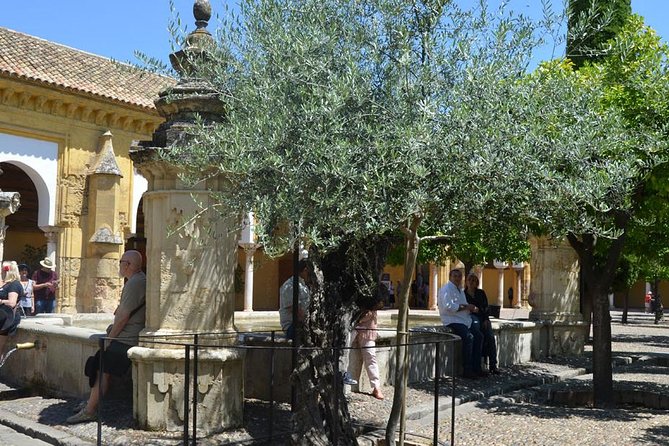 Mosque of Cordoba History Tour in English Tickets included - Is $38.71 a fair price?
