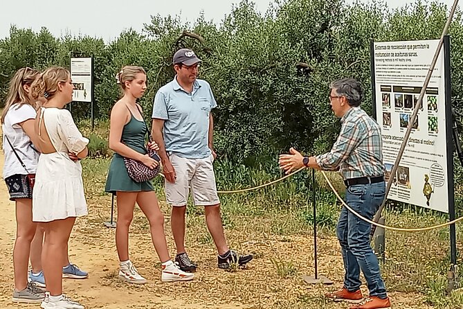 Oleotourism and olive oil tasting in Seville - Private tour - Key points at a glance