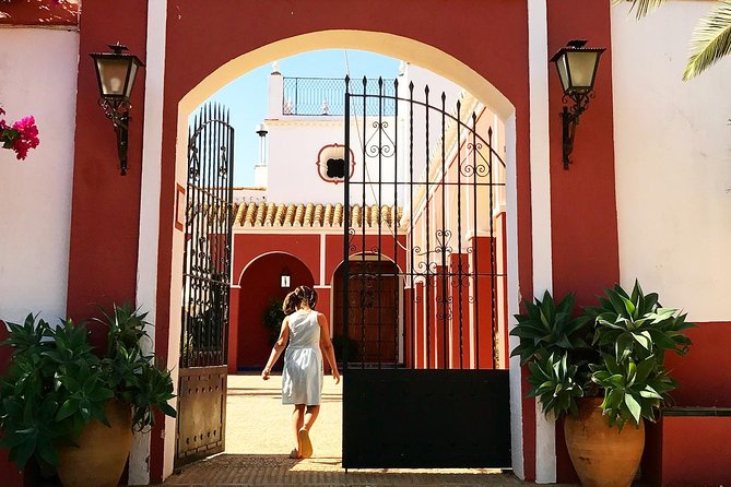 Oleotourism and olive oil tasting in Seville - Private tour - Why Hacienda Guzmán is worth the ride from Seville