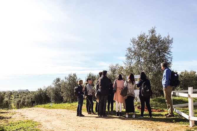 Oleotourism and olive oil tasting in Seville - Private tour - A menu that shows how Andalusia uses oil