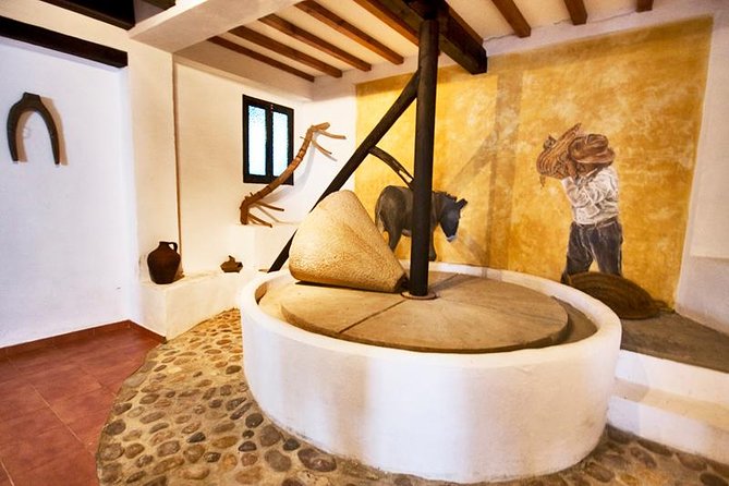 Oleotourism and olive oil tasting in Seville - Private tour - Entering the old mill with its 15-meter beam