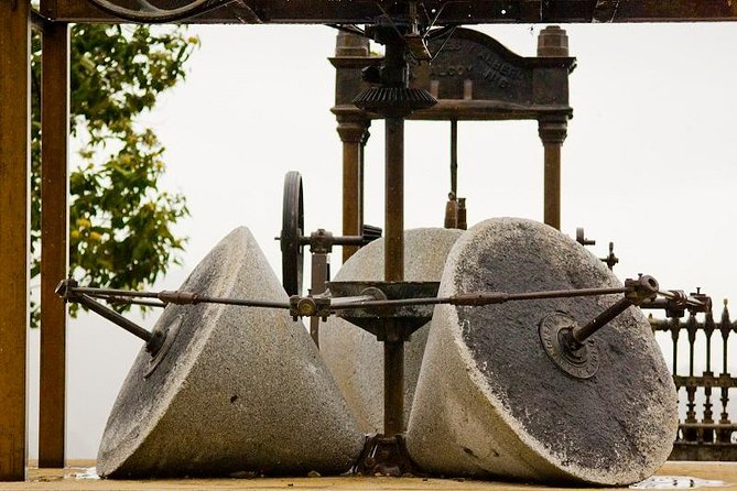 Olive Oil Farm Tour with Tasting from Seville - From traditional hacienda to working mill