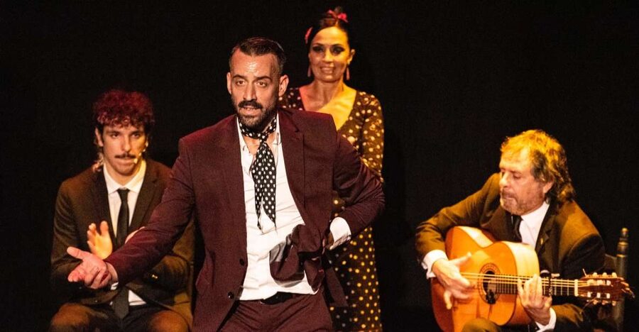 Panoramic Guadalquivir Cruise + Flamenco Show & Walking tour - Choosing the right flamenco time at Teatro Pathé
