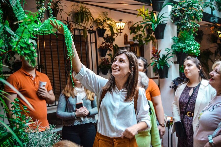 Patios of Cordoba Walking Tour - Why Cordoba’s patios are worth your time