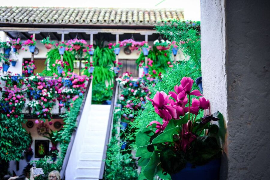 Patios of Cordoba Walking Tour - Flowers, mosaics, and the work behind the beauty