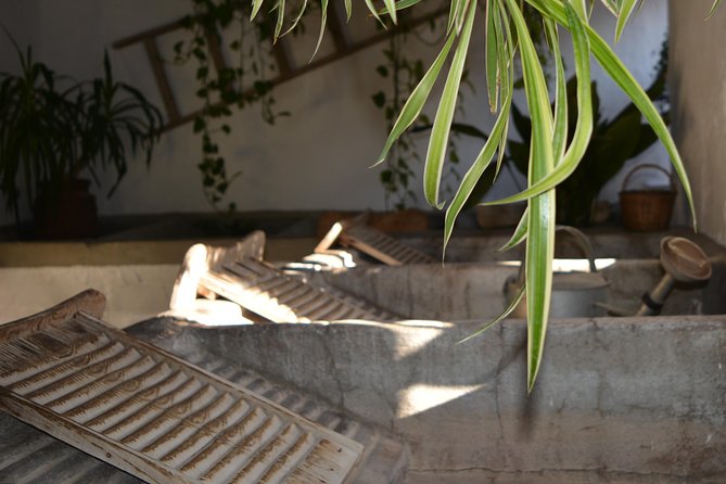 Patios & Perfums of Cordoba Festival Tour - The Santa Marina neighborhood and its older houses