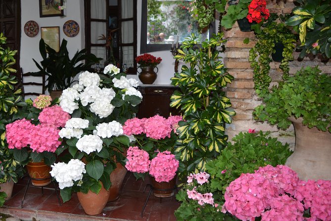 Patios & Perfums of Cordoba Festival Tour - Inside 10 to 15 private courtyards