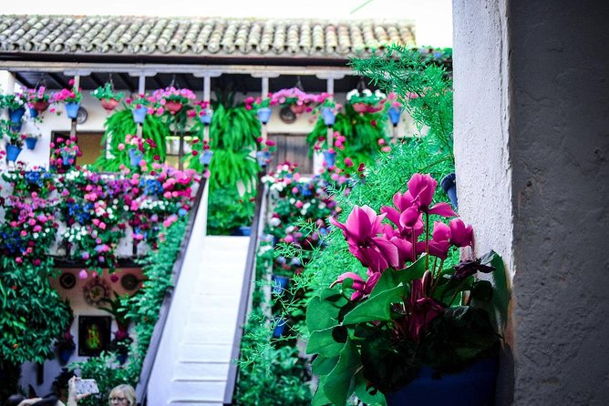 Patios tour in Cordoba - Why San Basilio feels more personal than a formal palace visit