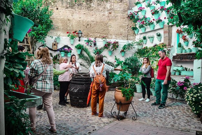 Patios tour in Cordoba - Should you book the San Basilio patios tour?