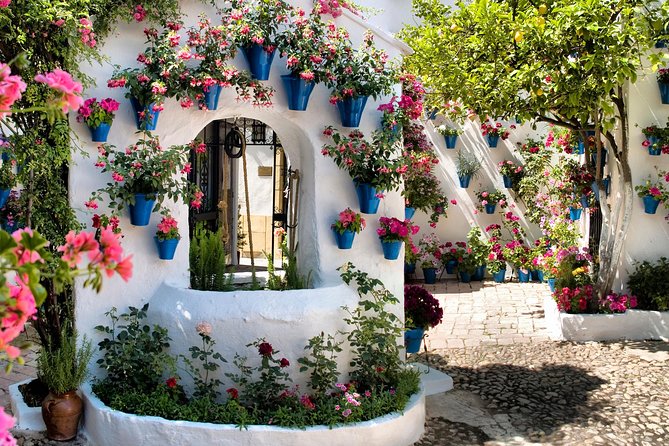 Patios tour in Cordoba - From Calle Caballerizas Reales to the first patio
