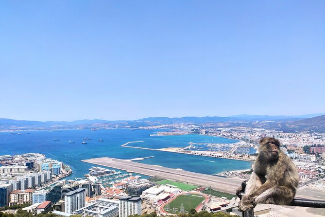 Premium private trip to Gibraltar from Seville (multiple options) - Pillars of Hercules and the view toward Africa
