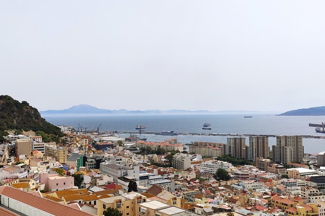 Premium private trip to Gibraltar from Seville (multiple options) - The Skywalk and Gibraltar’s macaques