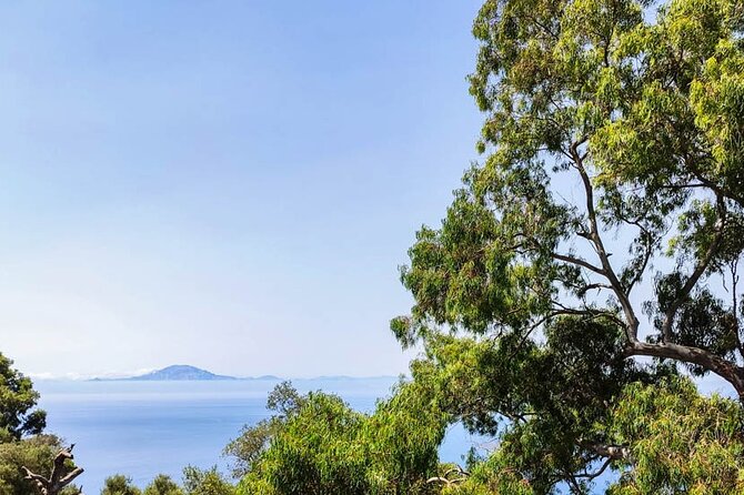 Premium private trip to Gibraltar from Seville (multiple options) - Leaving Seville for the Rock