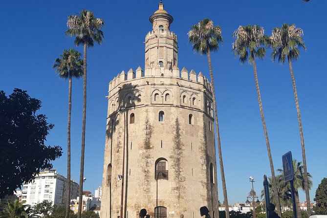 Private 2-Hour City Tour of Seville - Torre del Oro and Seville’s river connection