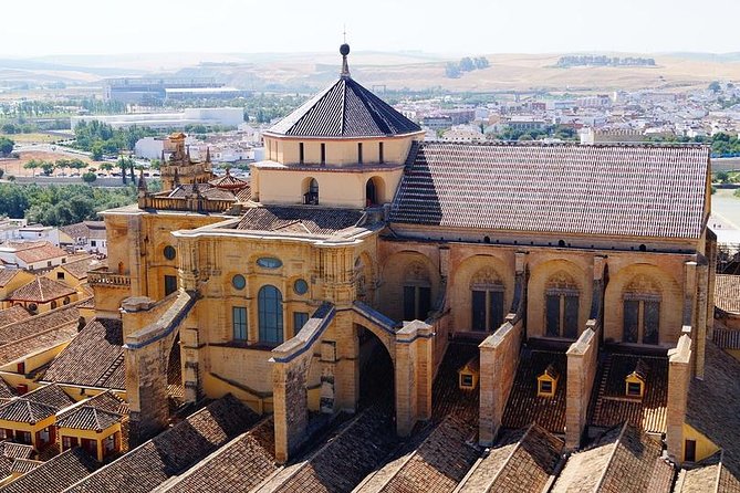 Private 3-hour Walking Tour of Cordoba with official tour guide - Price, pace, and the real value