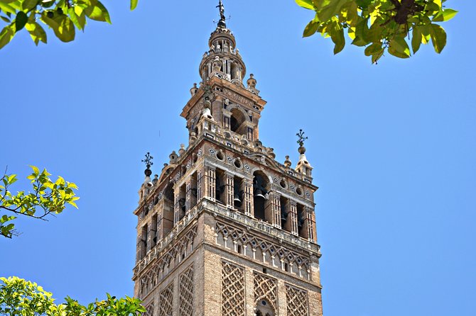 Private Alcazar, Giralda and Cathedral of Seville Tour - Meeting point, pickup, and what to bring