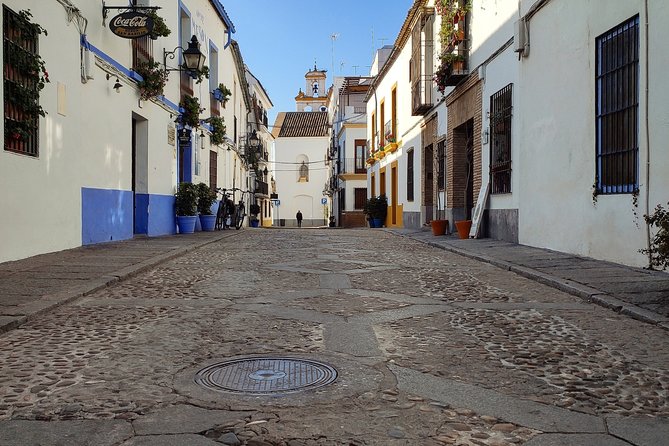 Private Córdoba Highlights Walking Tour - Patios, lanes, and Córdoba’s local character