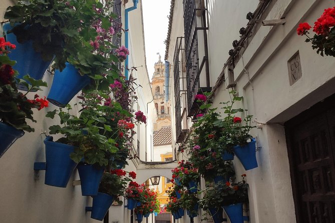 Private Córdoba Highlights Walking Tour - Who should book this walk