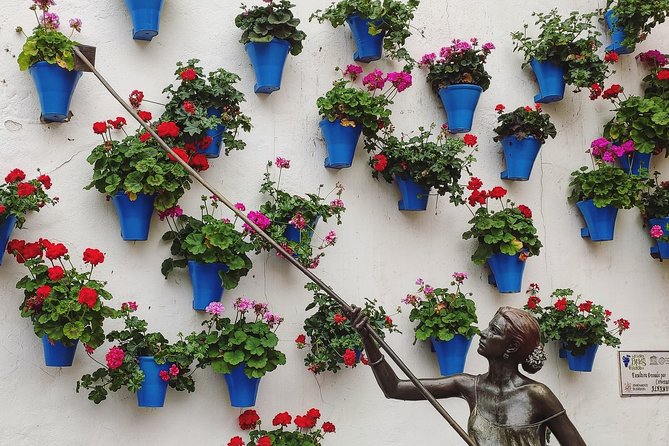 Private Córdoba Highlights Walking Tour - Walking through Córdoba’s World Heritage centre