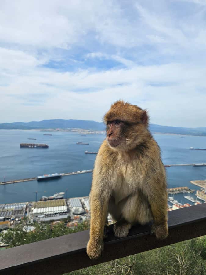 Private Day Trip: Gibraltar & (Tangier) Morocco from Seville - Why this day trip is such a big geographical leap