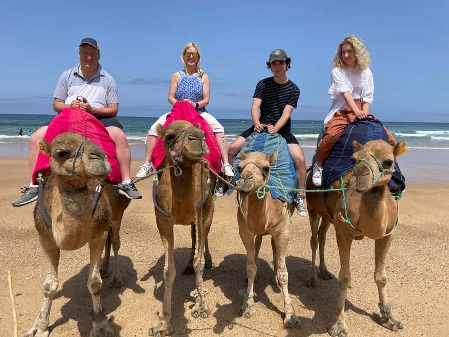 Private Day Trip: Gibraltar & (Tangier) Morocco from Seville - From Gibraltar to Tarifa and the Strait