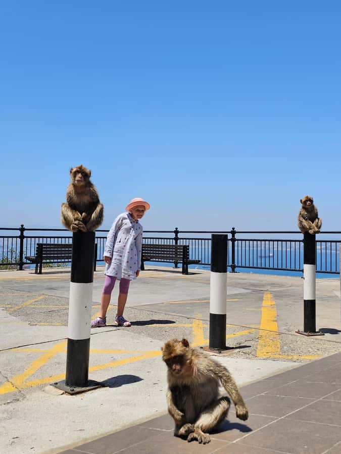Private Day Trip: Gibraltar & (Tangier) Morocco from Seville - The real value at $884 per person